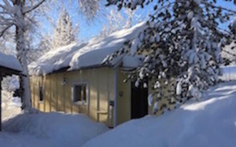 Trapper John'S Cabin & Cottages ทัลคีทนา ภายนอก รูปภาพ